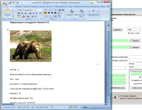       MS Word (OpenOffice Writer)          